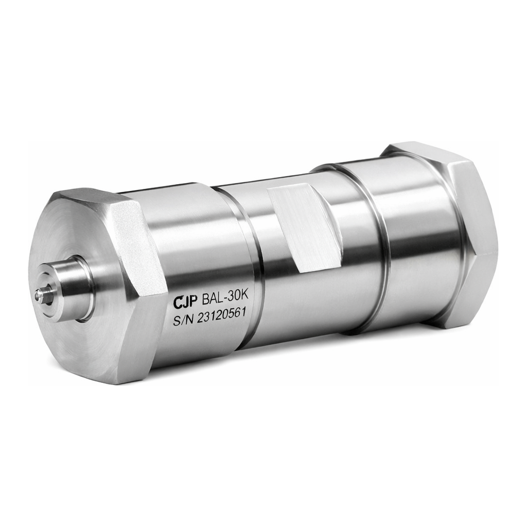 Waters SunFire C8 OBD Prep Column, 100Å, 5 µm, 30 mm X 75 mm, 1/pk
