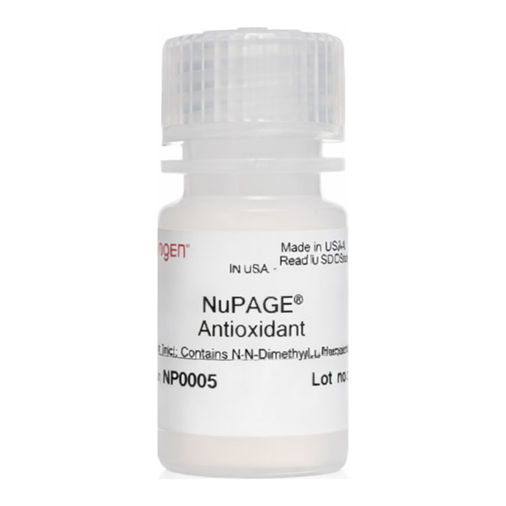Thermo Fisher Scientific NuPAGE Antioxidant