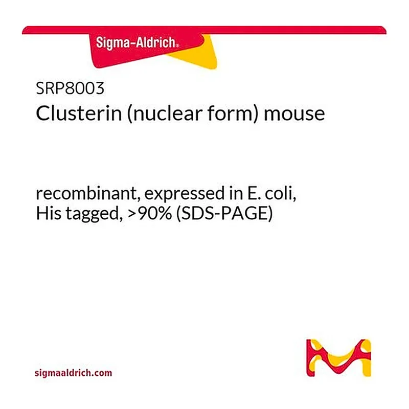 Merck Clusterin (nuclear form) mouse