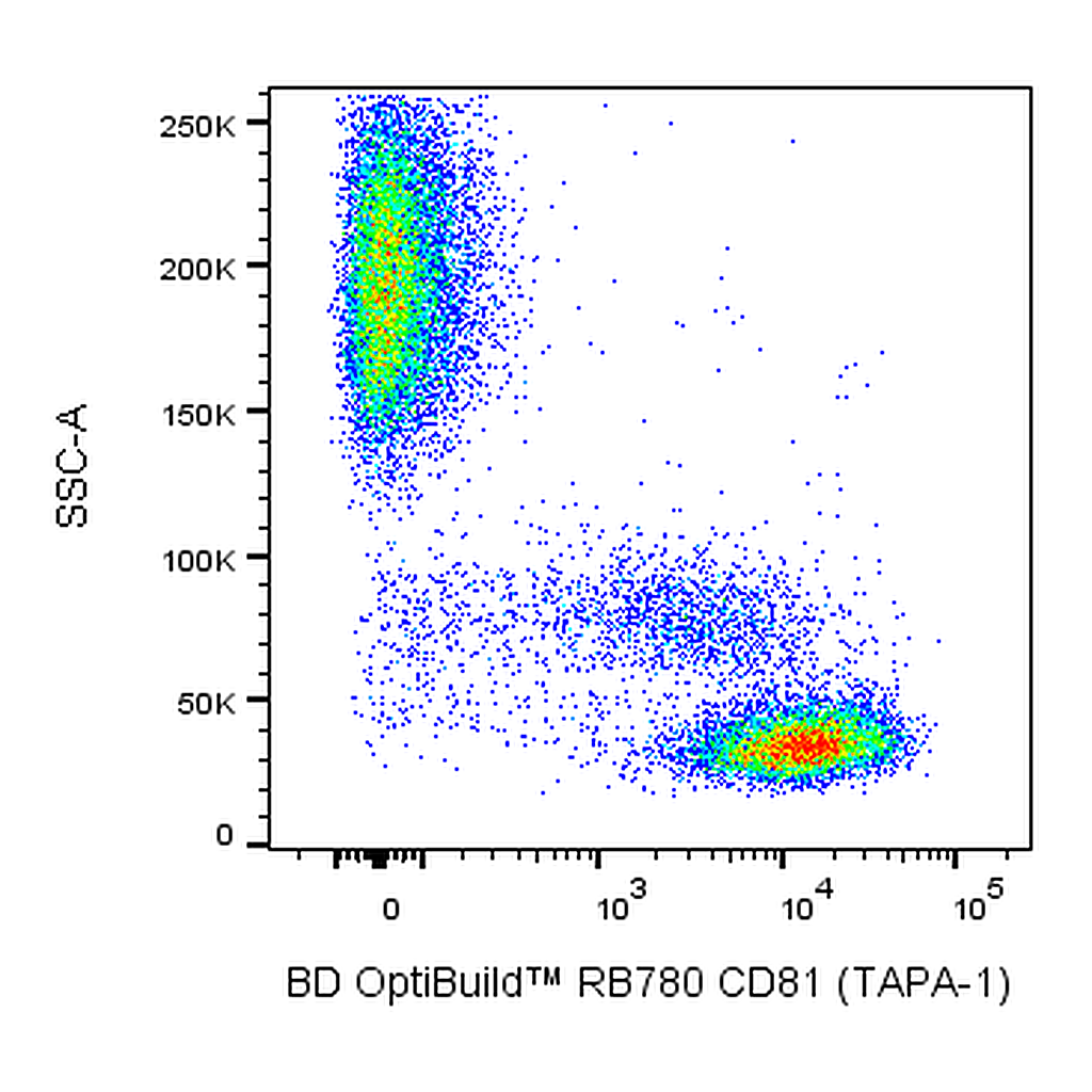 BD RB780 Mouse Anti-Human CD81 (TAPA-1)