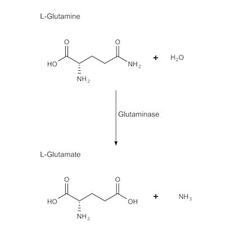 Merck GLUTAMINASE GRADE V FROM ESCHERICHIA COL