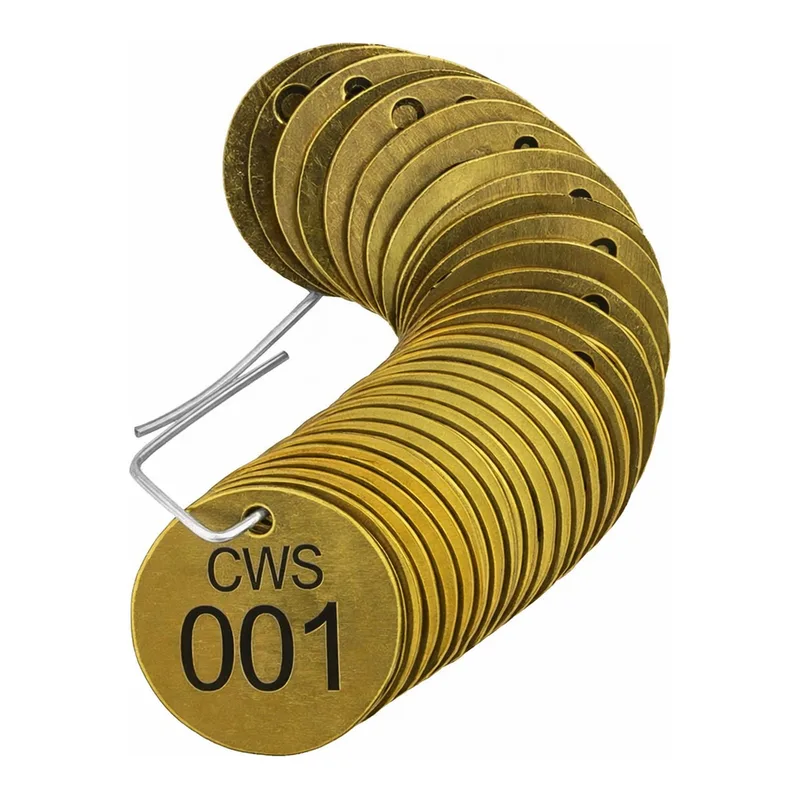Brady Stamped Brass Valve Tags CWS Cold Water Supply