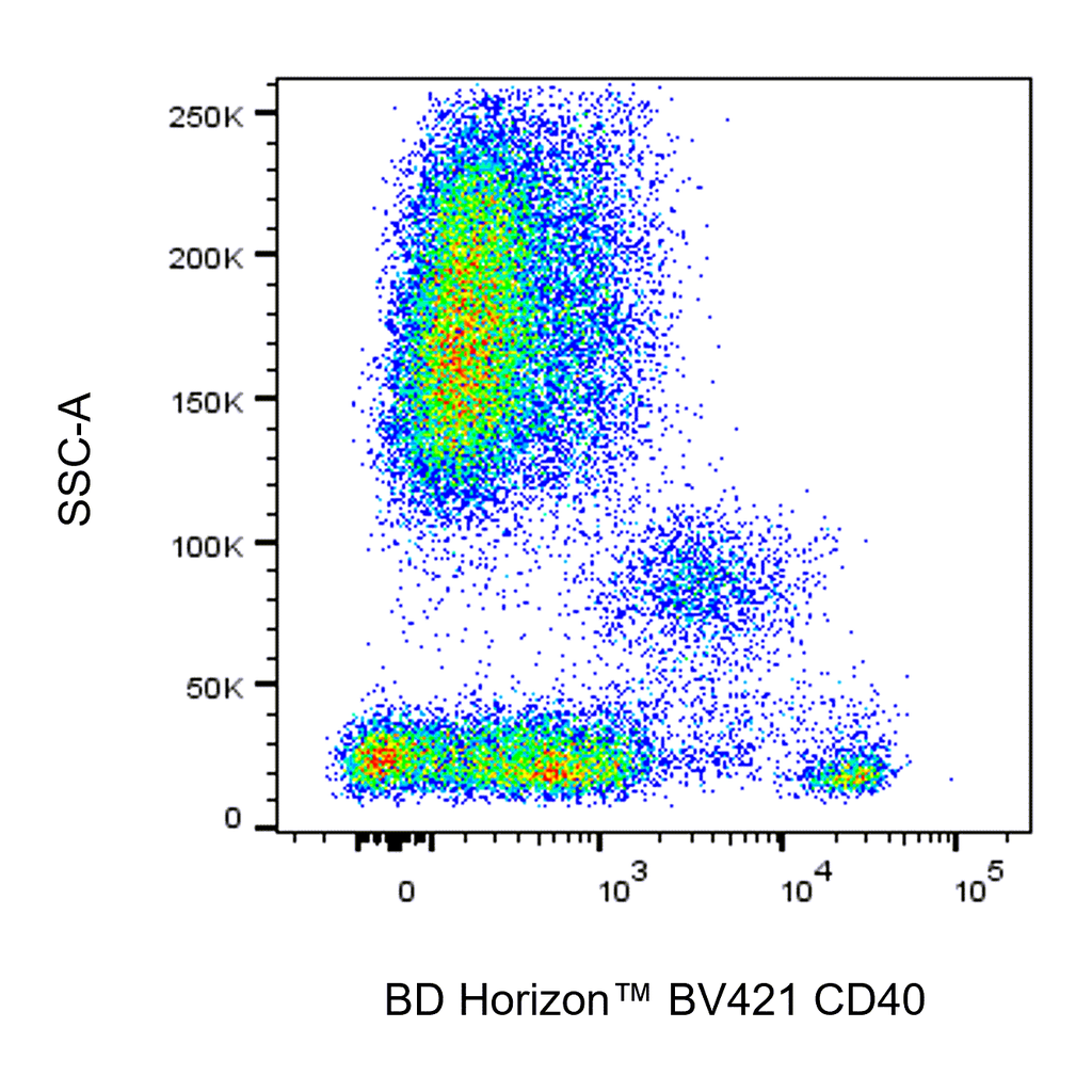 BD BV421 Mouse Anti-Human CD40