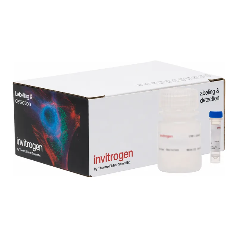Thermo Fisher Scientific FluoReporter Blue Fluorometric dsDNA Quantitation Kit, 200-2,000 assays