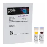 Thermo Fisher Scientific LIVE/DEAD FungaLight Yeast Viability Kit, for flow cytometry
