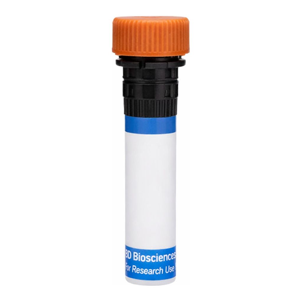 BD RB613 Rat Anti-Mouse Pre-B Cell Receptor