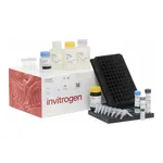 Thermo Fisher Scientific ProcartaPlex Human Cytokine Storm Panel, 21plex