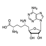 Merck SINEFUNGIN