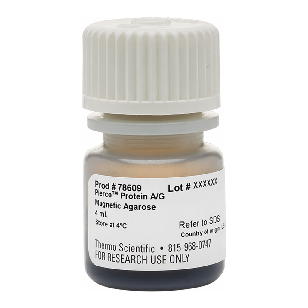 Thermo Fisher Scientific Pierce Protein A/G Magnetic Agarose Beads, 4 mL