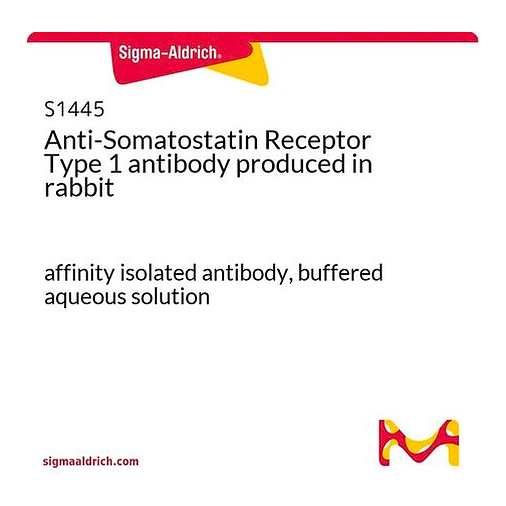 Merck Anti-Somatostatin Receptor Type 1 antibody produced in rabbit