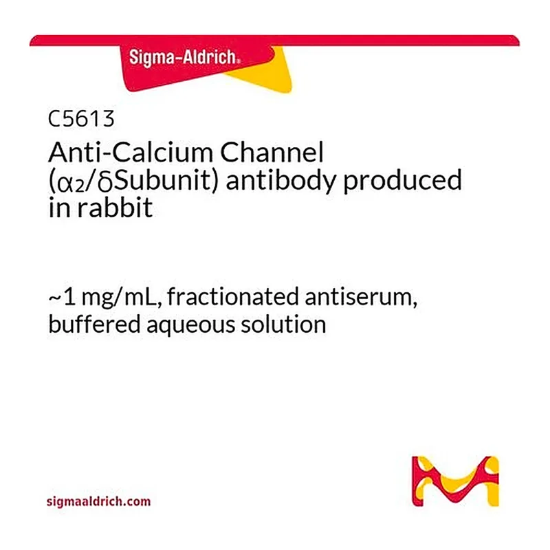 Merck Anti-Calcium Channel (alpha2/deltaSubunit) antibody produced in rabbit