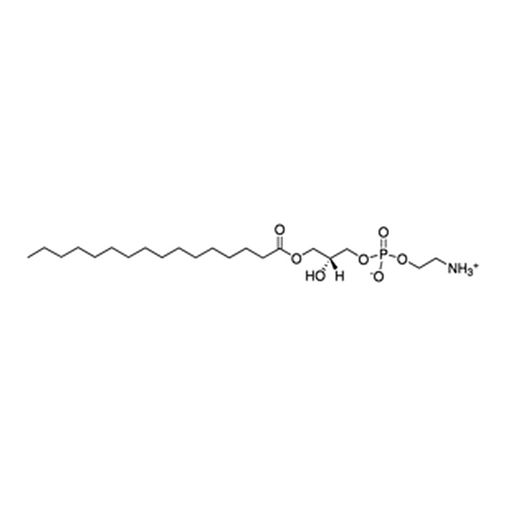 Merck 16:0 LYSO PE
