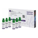 Thermo Fisher Scientific Flow Cytometry Sub-micron Particle Size Reference Kit