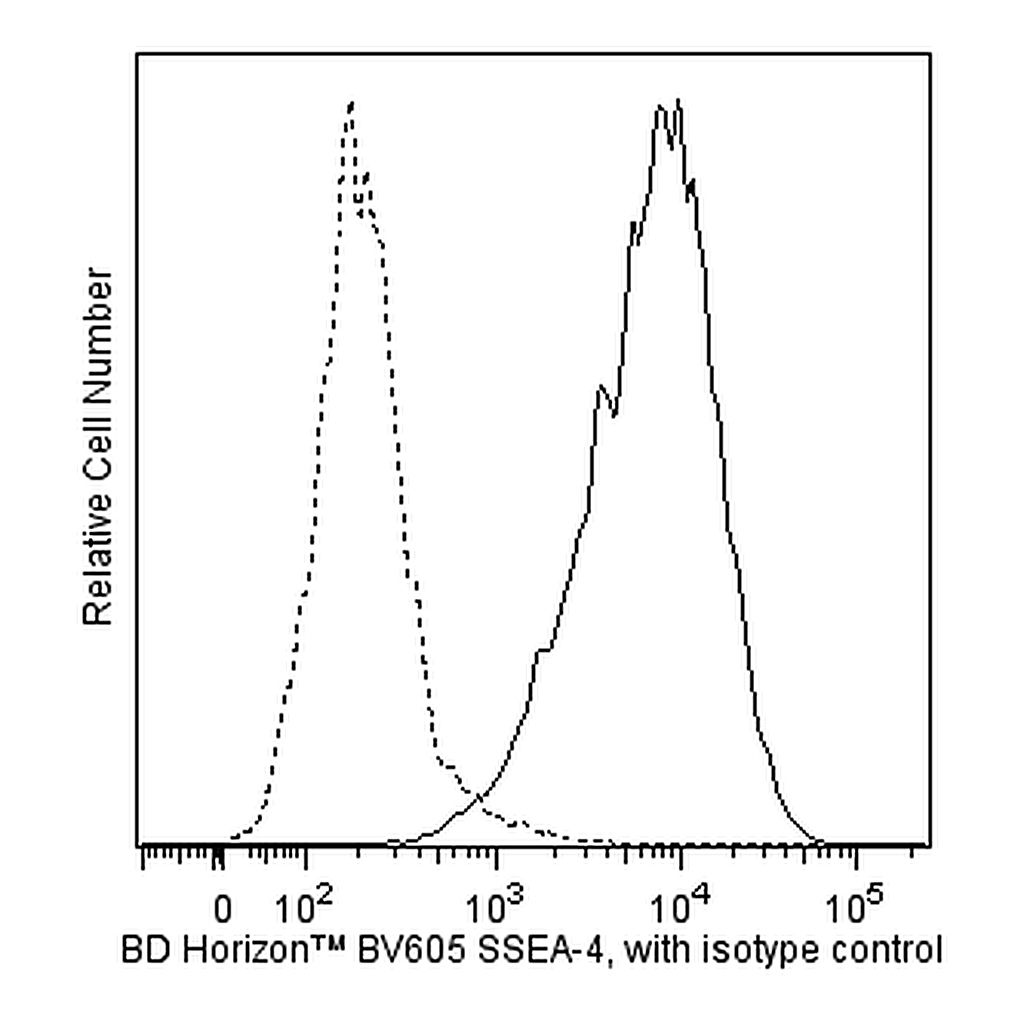 BD BV605 Mouse Anti-SSEA-4