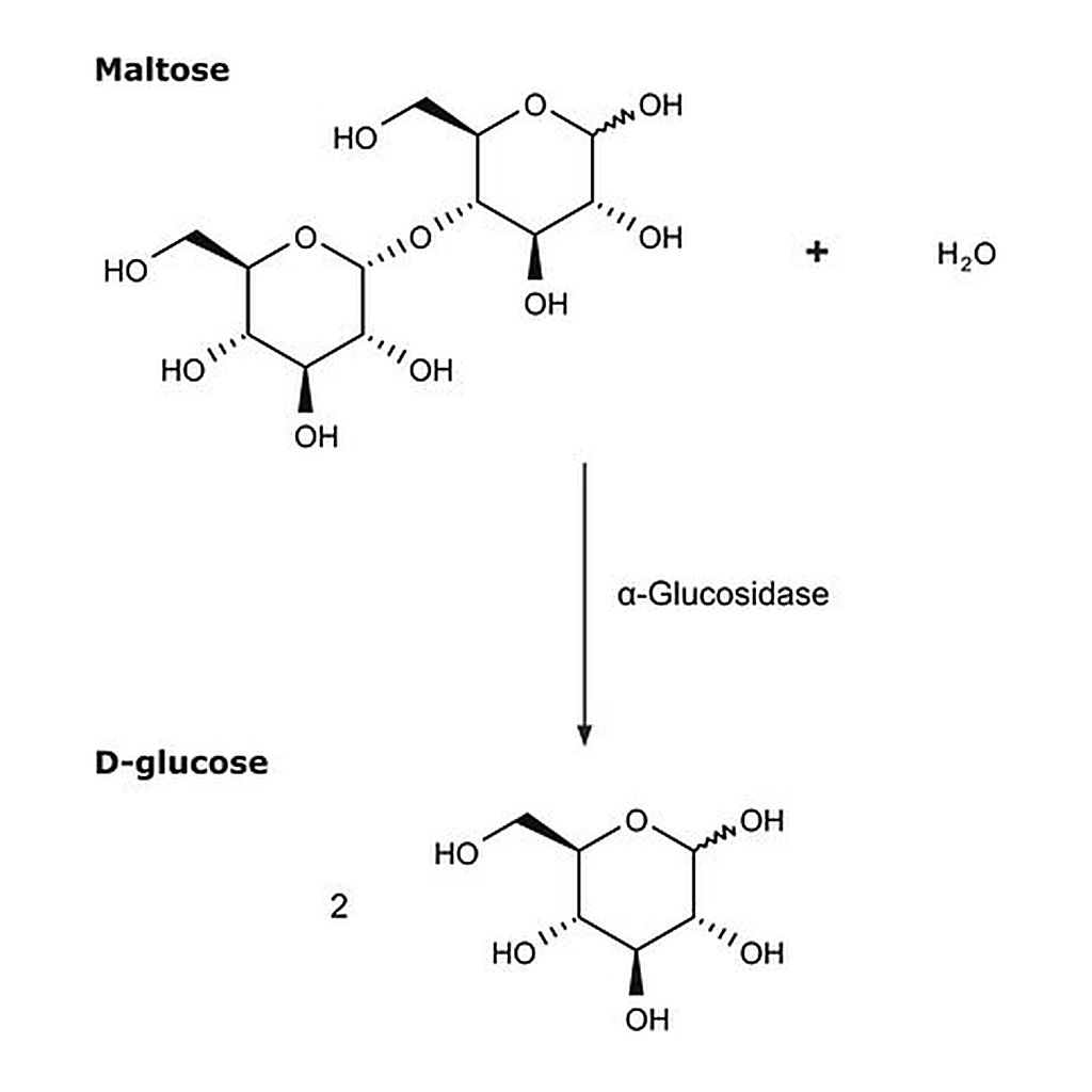 Merck alpha-Glucosidase from rice