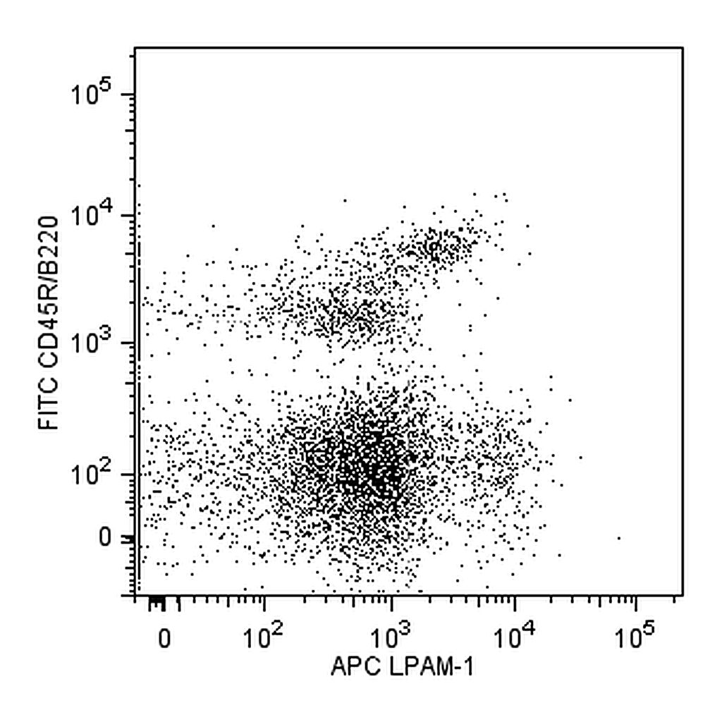 BD APC Rat Anti-Mouse LPAM-1