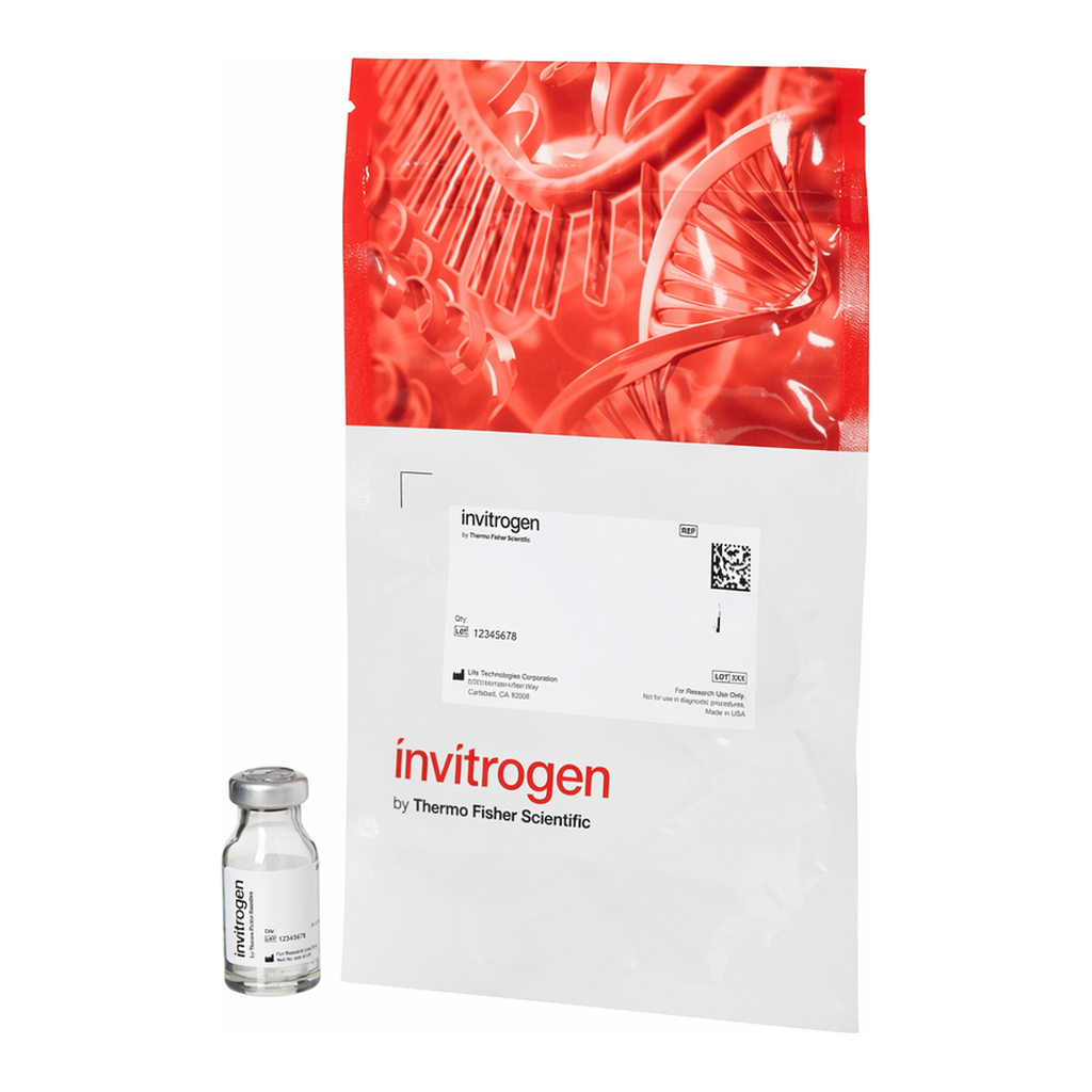 Thermo Fisher Scientific FluoSpheres Polystyrene Microspheres, 15 &mu;m, red fluorescent (580/605), for blood flow determination