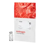 Thermo Fisher Scientific FluoSpheres Polystyrene Microspheres, 15 μm, red fluorescent (580/605), for blood flow determination