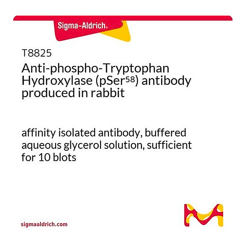 Merck Anti-phospho-Tryptophan Hydroxylase (pSer58) antibody produced in rabbit
