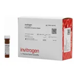 Thermo Fisher Scientific SARS-CoV-2 Spike UK (B.1.1.7) Ig Total Human ProcartaPlex Simplex Kit