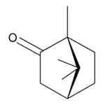 Merck D-CAMPHOR