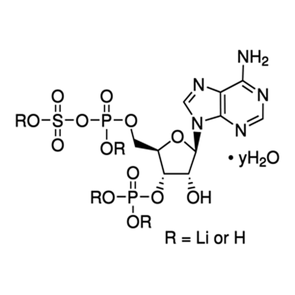 Merck ADENOSINE 3``-PHOSPHATE 5``-PHOSPHOSULFATE