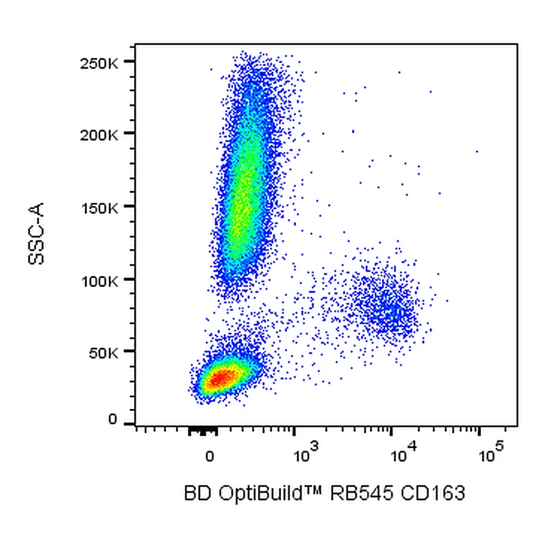 BD RB545 Mouse Anti-Human CD163
