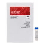Thermo Fisher Scientific NeuroTrace 640/660 Deep-Red Fluorescent Nissl Stain - Solution in DMSO