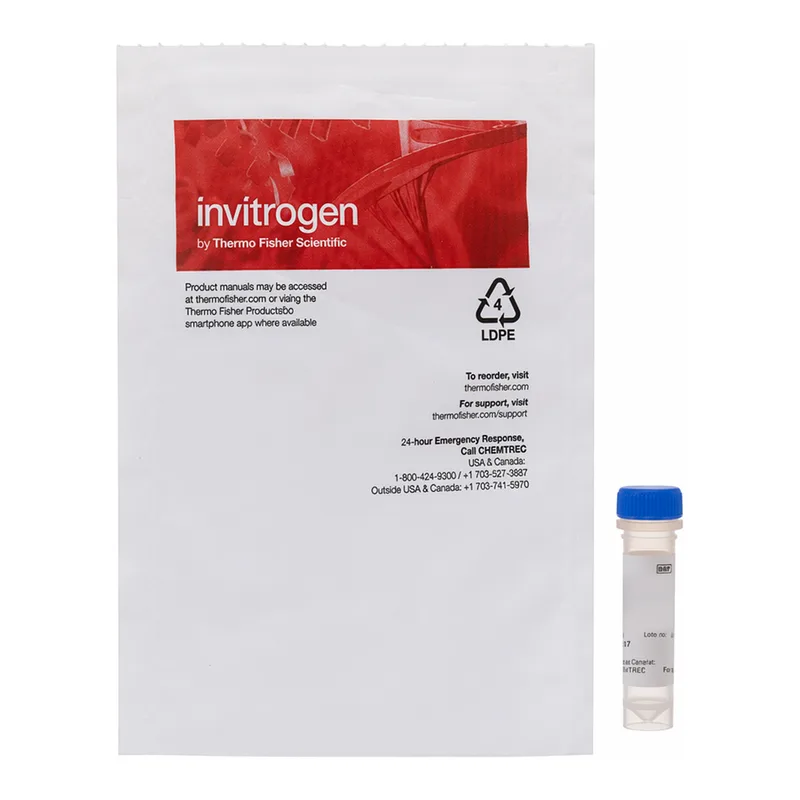 Thermo Fisher Scientific NeuroTrace 640/660 Deep-Red Fluorescent Nissl Stain - Solution in DMSO