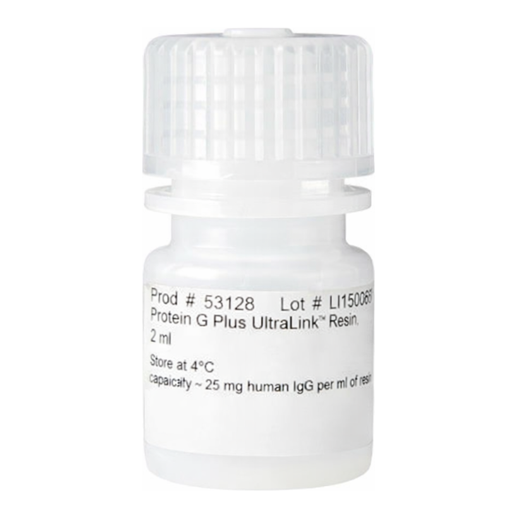 Thermo Fisher Scientific Pierce Protein G Plus UltraLink Resin