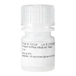 Thermo Fisher Scientific Pierce Protein G Plus UltraLink Resin