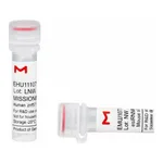 Merck MISSION(R) esiRNA