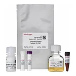 Thermo Fisher Scientific BacMam Histone H3K4me3 Cellular Assay Kit