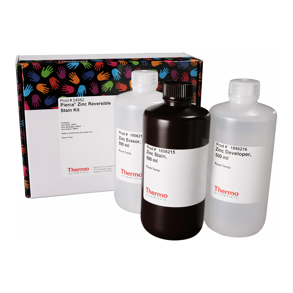 Thermo Fisher Scientific Pierce Zinc Reversible Stain Kit