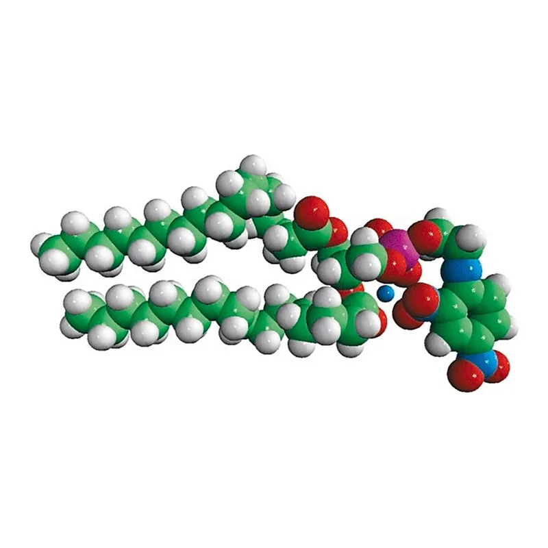 Merck 16:0 DNP PE