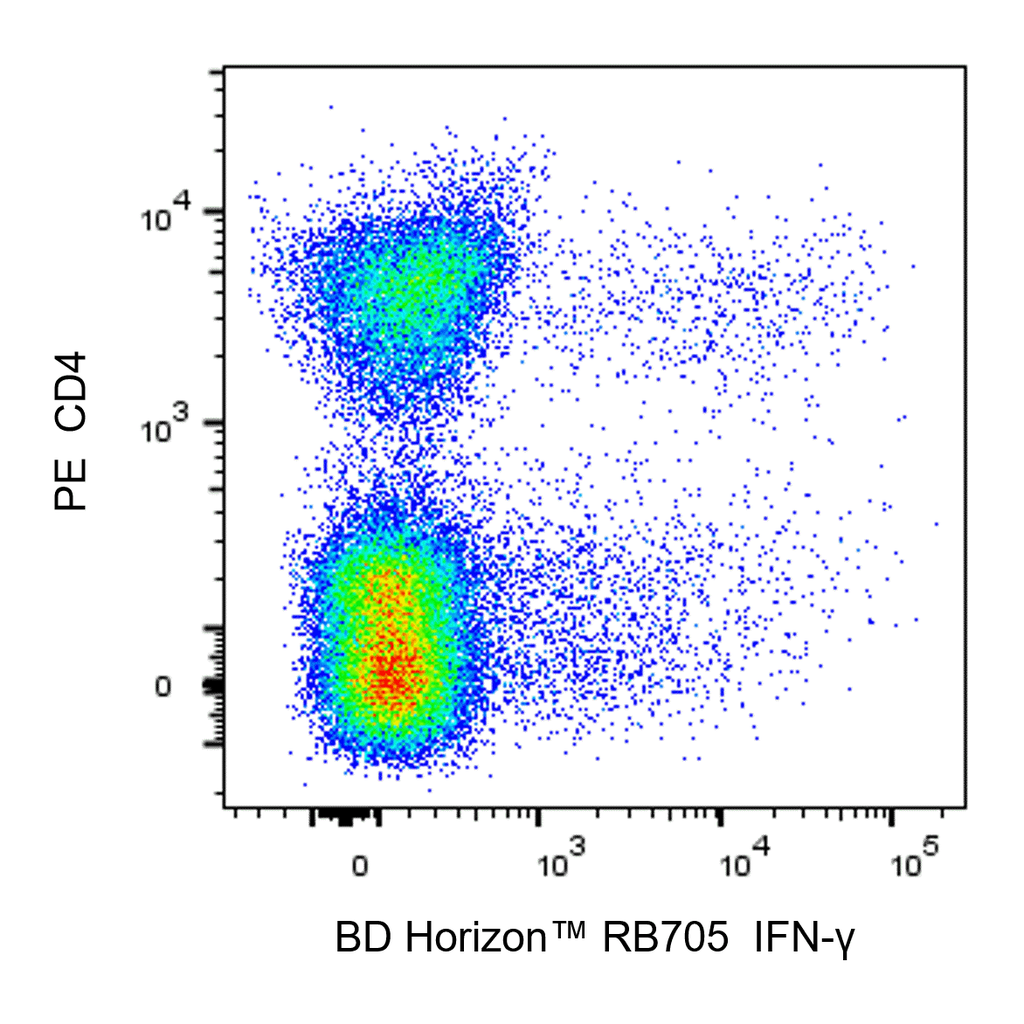 BD RB705 Rat Anti-Mouse IFN-γ