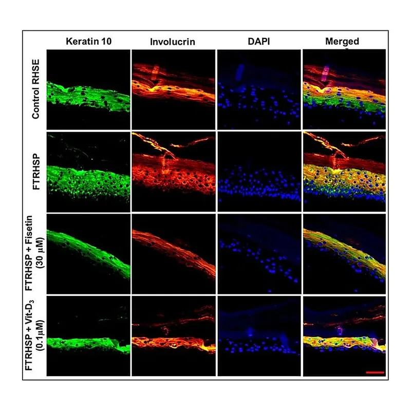 Thermo Fisher Scientific Goat anti-Mouse IgG (H+L) Cross-Adsorbed Secondary Antibody, Texas Red-X