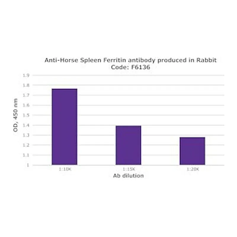 Merck RABBIT ANTI-HORSE SPLEEN FERRITIN &