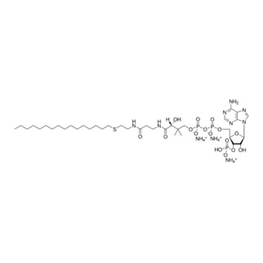 Merck 16:0 ETHER COENZYME A