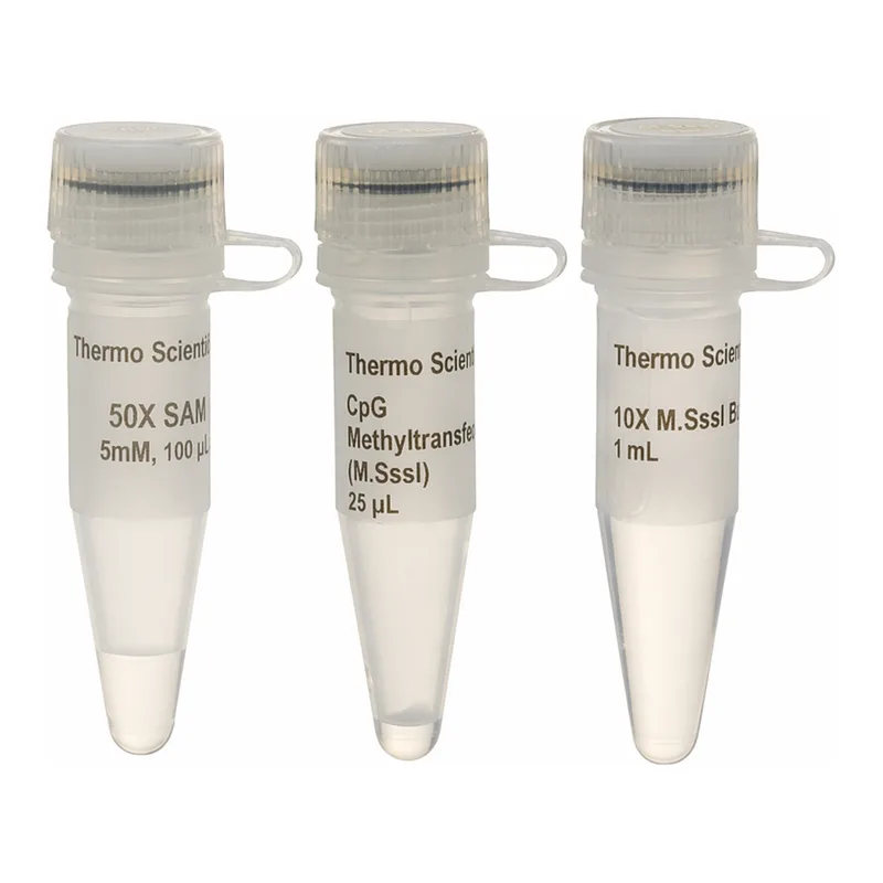 Thermo Fisher Scientific CpG Methyltransferase (M.SssI)