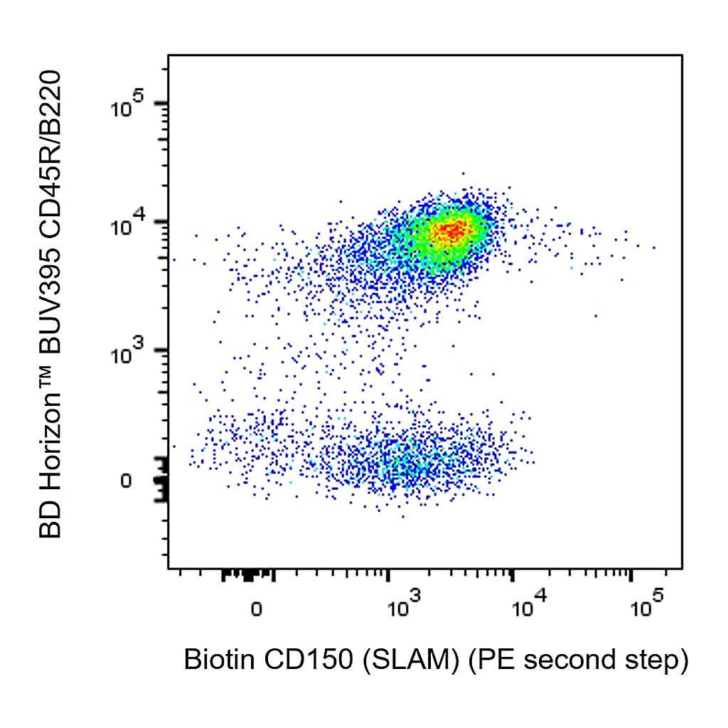 BD Biotin Rat Anti-Mouse CD150 (SLAM)
