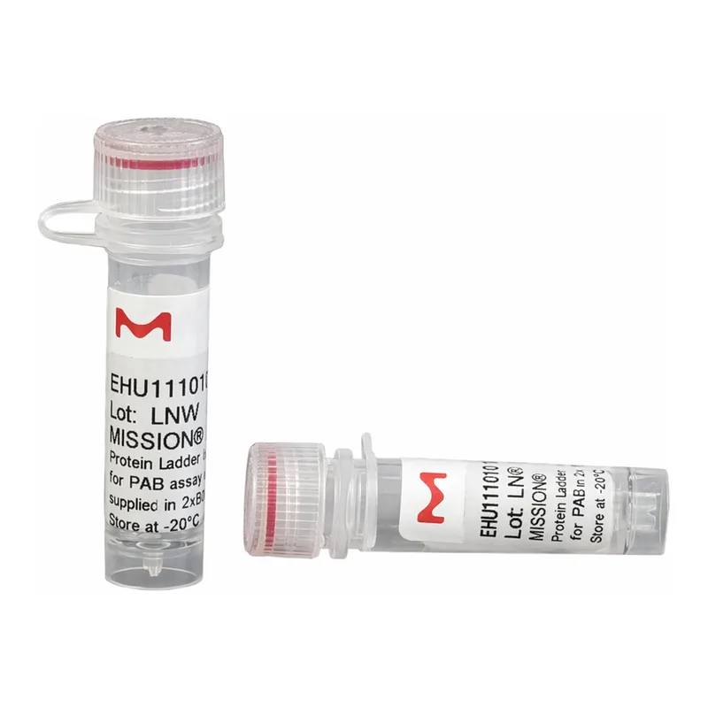 Merck ESIRNA MOUSE PYGO1