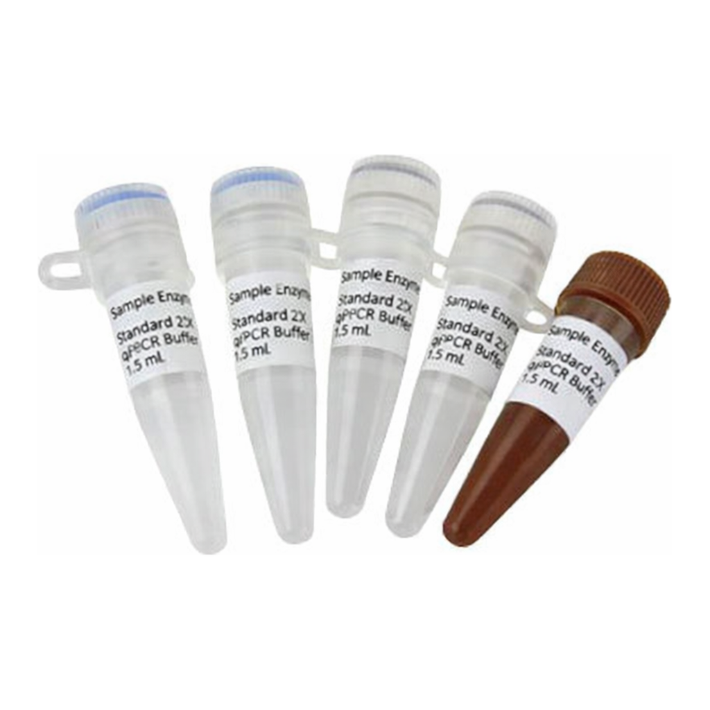 Thermo Fisher Scientific Maxima SYBR Green/ROX qPCR Master Mix (2X), 200 reactions