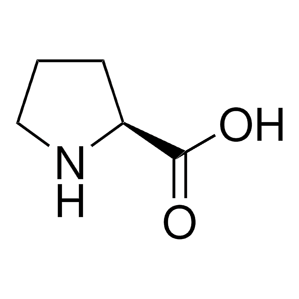 Merck L-Proline