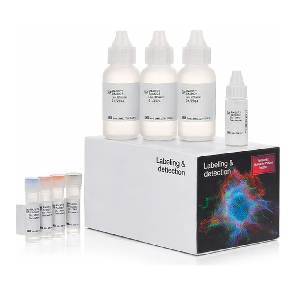 Thermo Fisher Scientific Alexa Fluor 488 Tyramide SuperBoost Kit, streptavidin