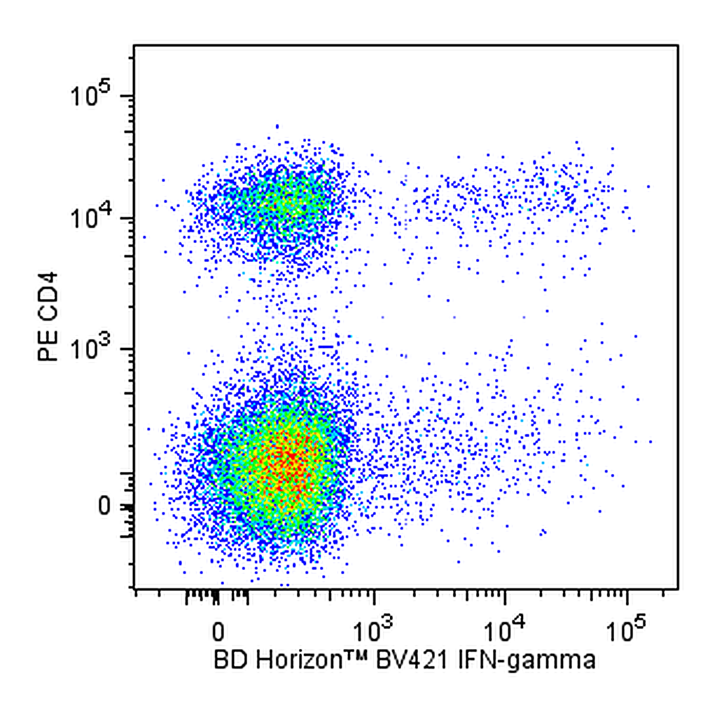 BD BV421 Rat Anti-Mouse IFN-γ
