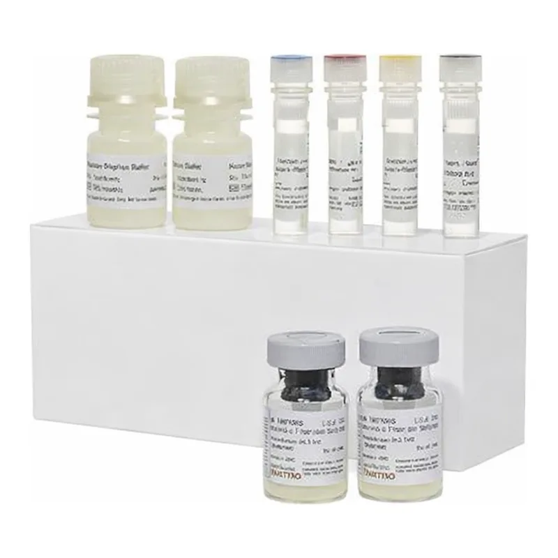 Thermo Fisher Scientific Mouse GM-CSF ProQuantum Immunoassay Kit