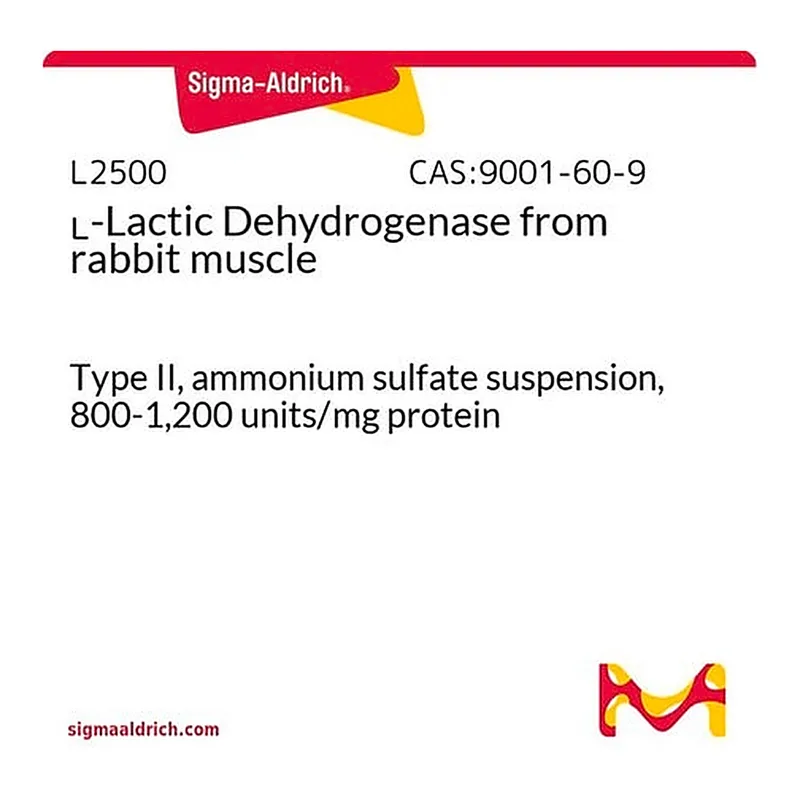 Merck L-Lactic Dehydrogenase from rabbit muscle