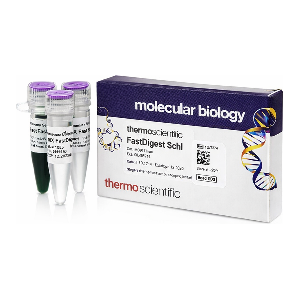 Thermo Fisher Scientific FastDigest SchI