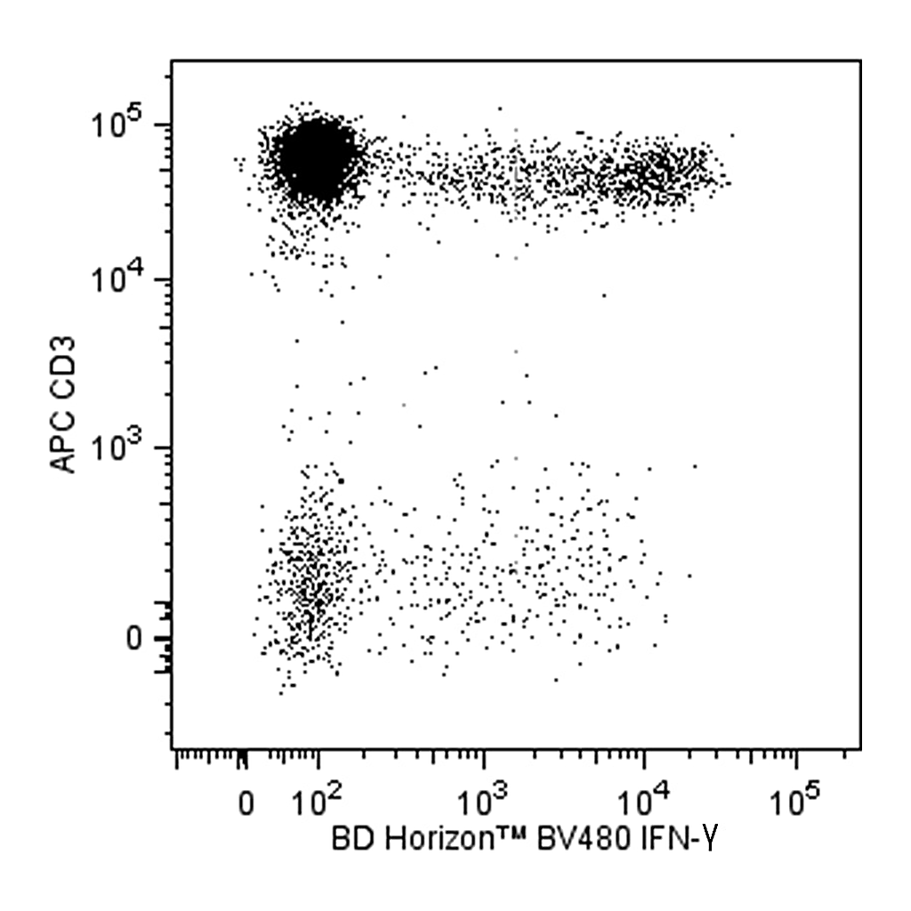 BD BV480 Mouse Anti-Human IFN-γ